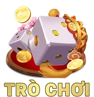 Gửi Email Hỗ Trợ